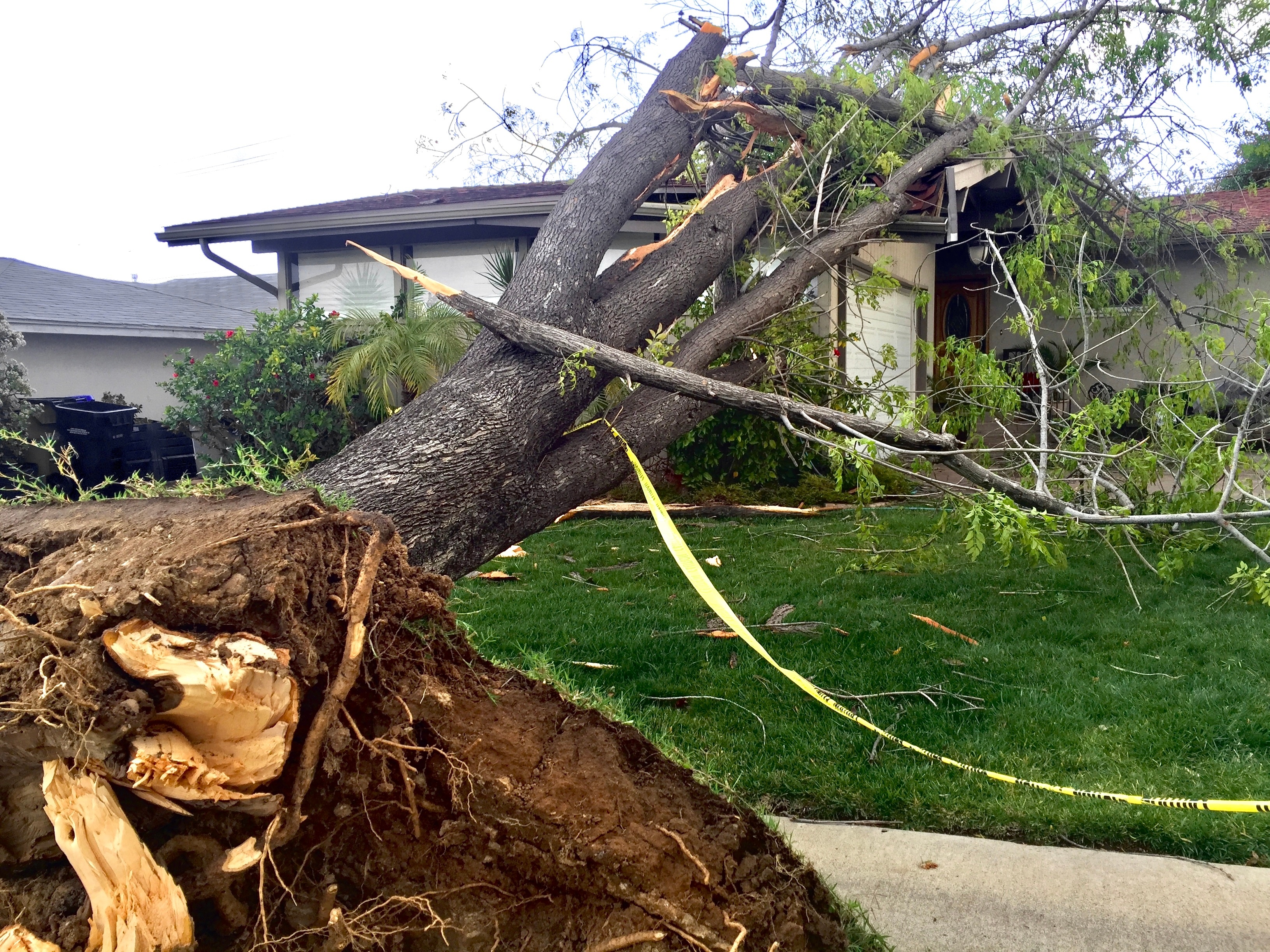 Navigating Storm Damage Relief: A Guide for Property Owners